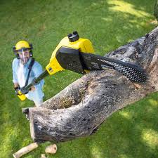 Best Artificial Turf Installation  in Charles Town, WV